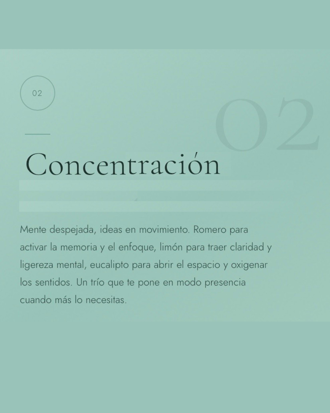 Roll on Concentración